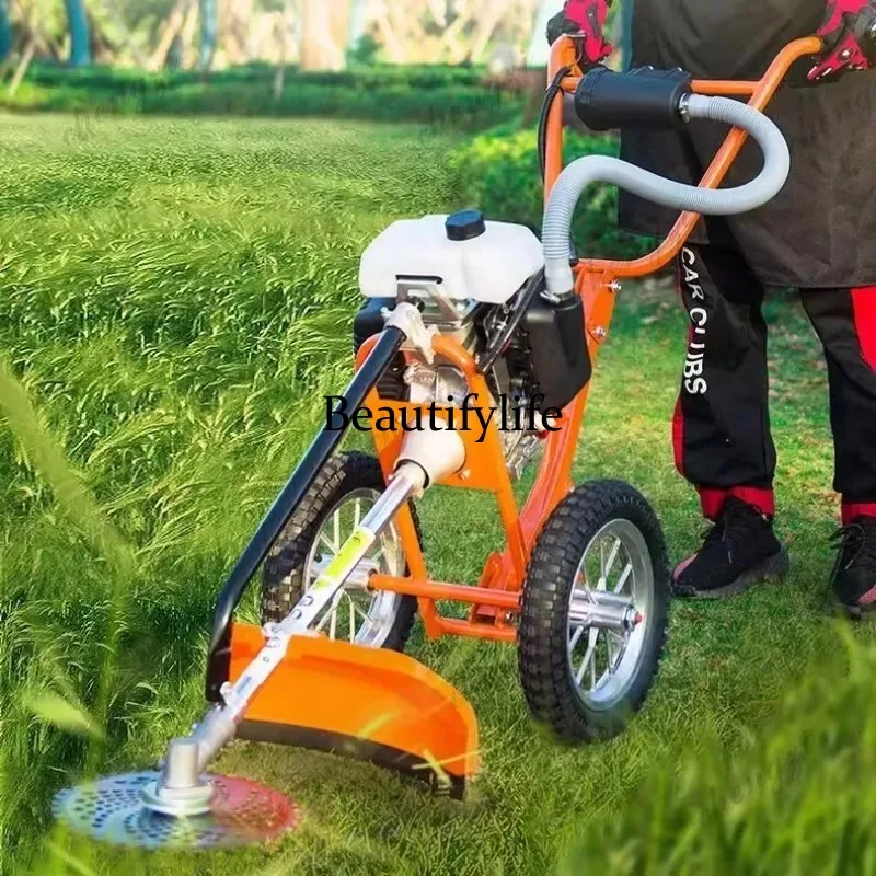 เครื่องตัดหญ้าแบบเข็น รุ่น L17 - Gardening Tools Lawn Mower บทวิจารณ์และราคา