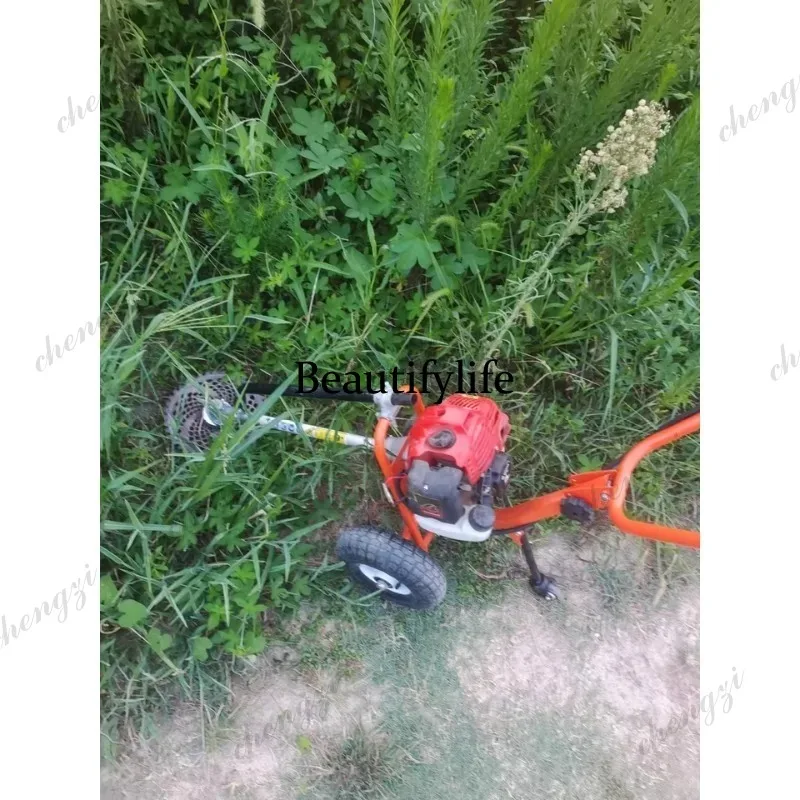 เครื่องตัดหญ้าแบบเข็น รุ่น L17 - Gardening Tools Lawn Mower บทวิจารณ์และราคา