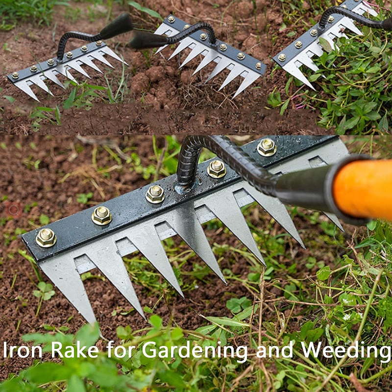 เครื่องมือกำจัดวัชพืชในสวน 5/6 - Gardening Tools To Remove Weeds บทวิจารณ์และราคา
