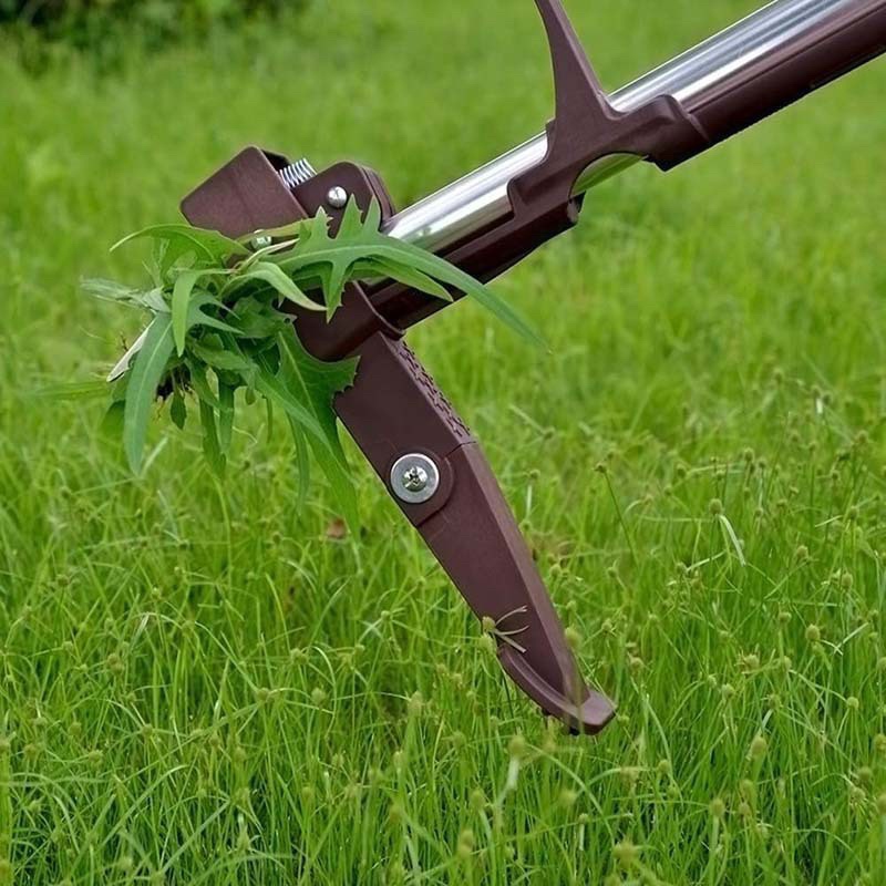 เครื่องมือกำจัดวัชพืชแบบยืนพร้ - Gardening Tools To Remove Grass บทวิจารณ์และราคา