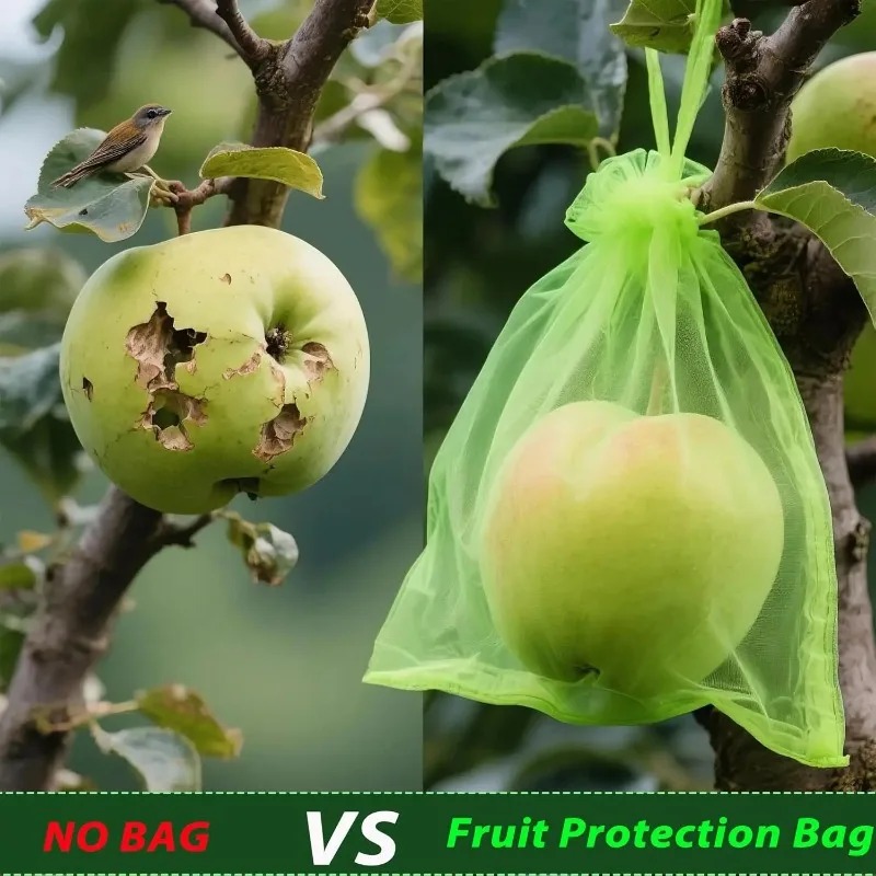 ถุงป้องกันผลไม้แบบขายส่ง ป้องก - Gardening Tools Store บทวิจารณ์และราคา