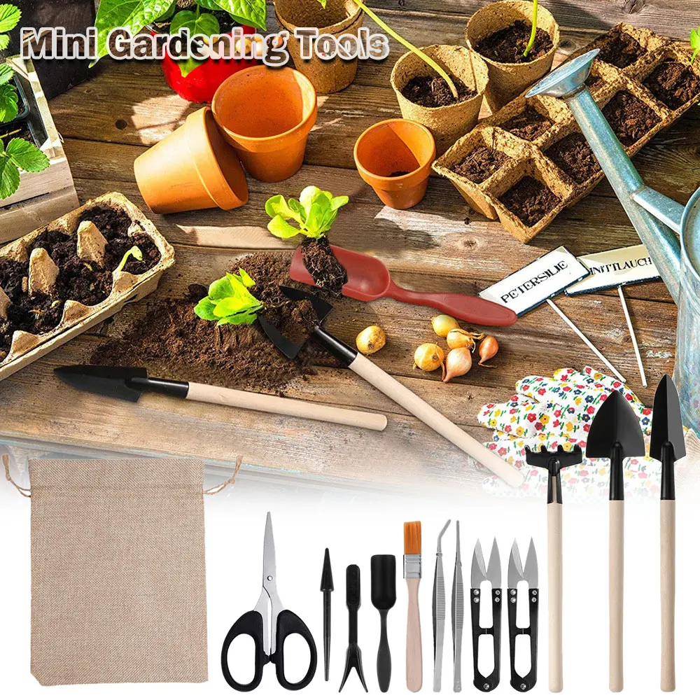 ชุดเครื่องมือปลูกพืชอวบน้ำ13ชิ - Gardening Tools Sale บทวิจารณ์และราคา