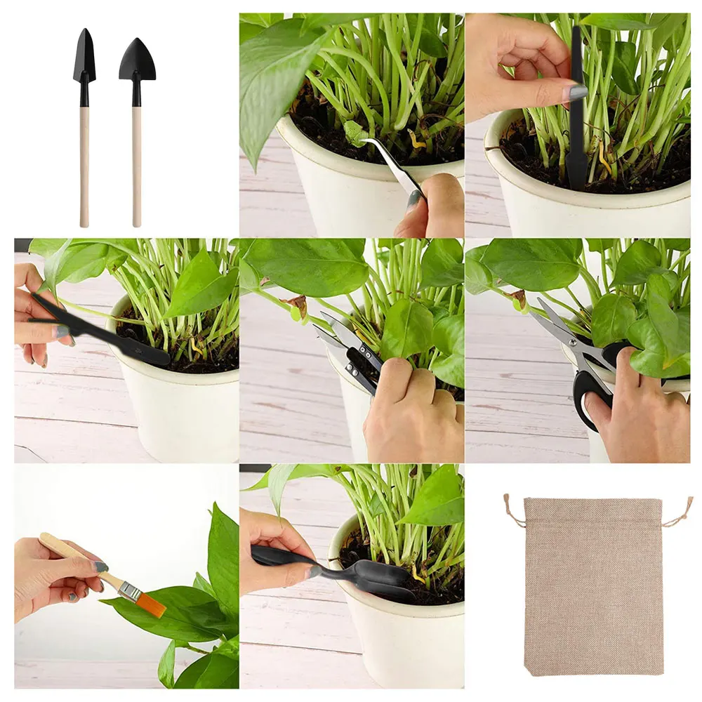 ชุดเครื่องมือปลูกพืชอวบน้ำ13ชิ - Gardening Tools Sale บทวิจารณ์และราคา