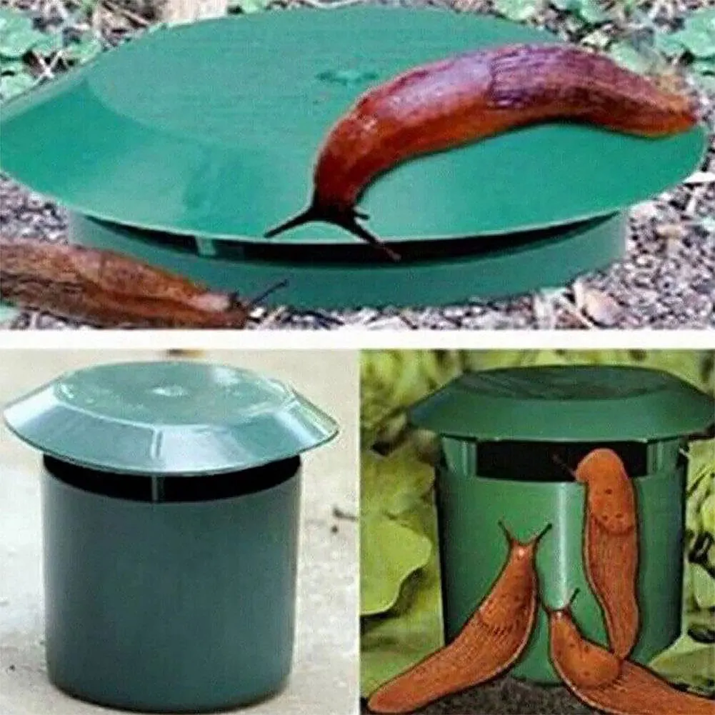 กับดักหอยทาก 2-12 ชิ้น แบบรักษ - Gardening Tools Toolstation บทวิจารณ์และราคา