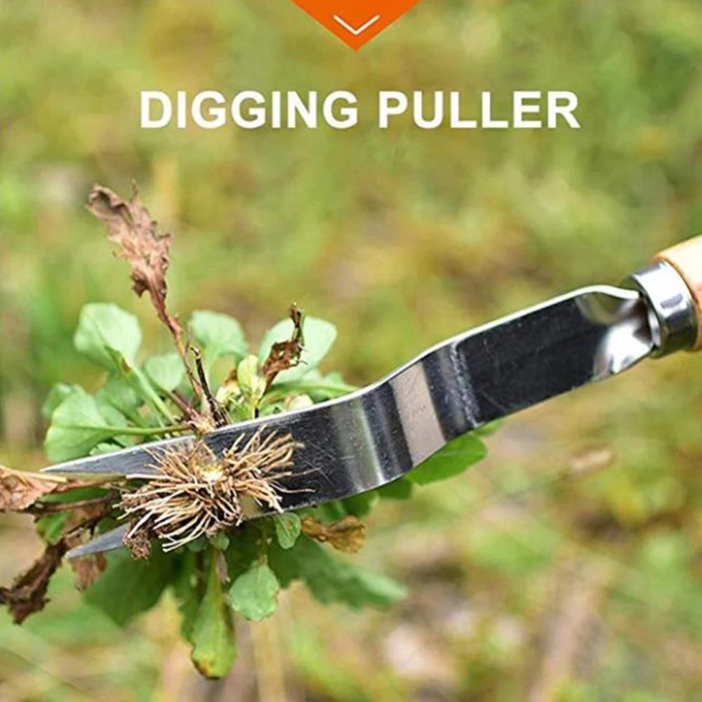 เครื่องกำจัดวัชพืชในสวนสแตนเลส - Gardening Tools To Remove Weeds บทวิจารณ์และราคา