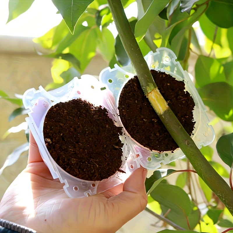 ชุดอุปกรณ์ขยายพันธุ์พืชแบบแรงด - Gardening Tools Box บทวิจารณ์และราคา