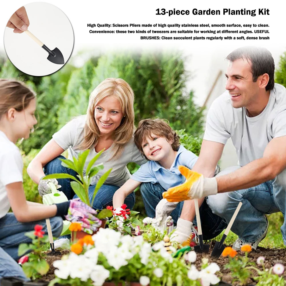 Succulentพืชเครื่องมือMini Gar - Gardening Tools Sale บทวิจารณ์และราคา